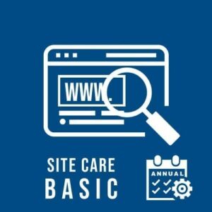 WordPress site care