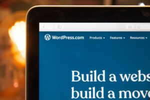 wordpress full-stack developer