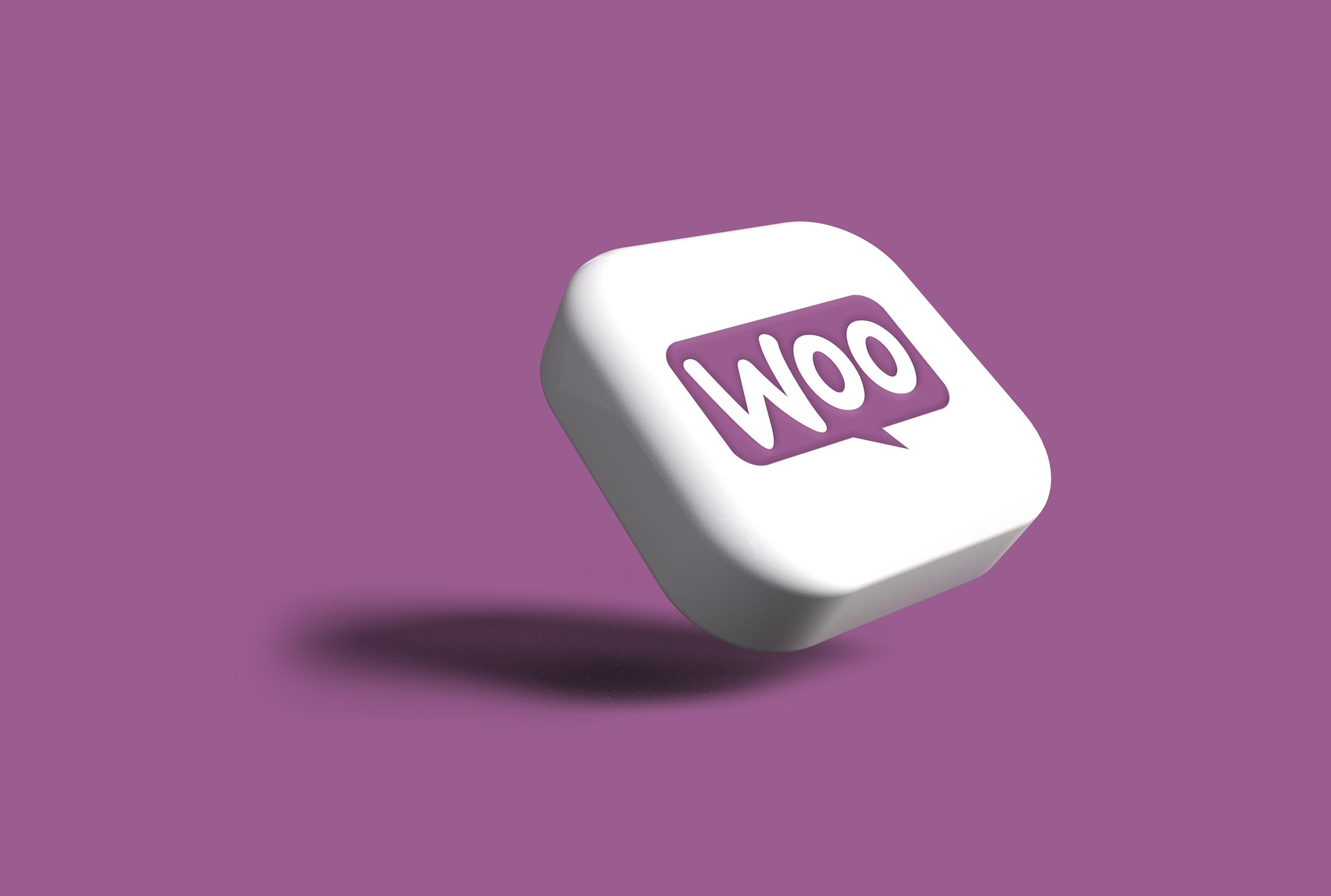 WordPress WooCommerce